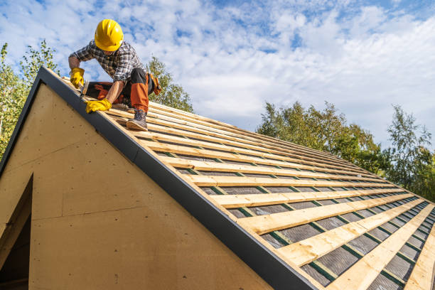 Best Roof Gutter Cleaning  in Lincoln, AL