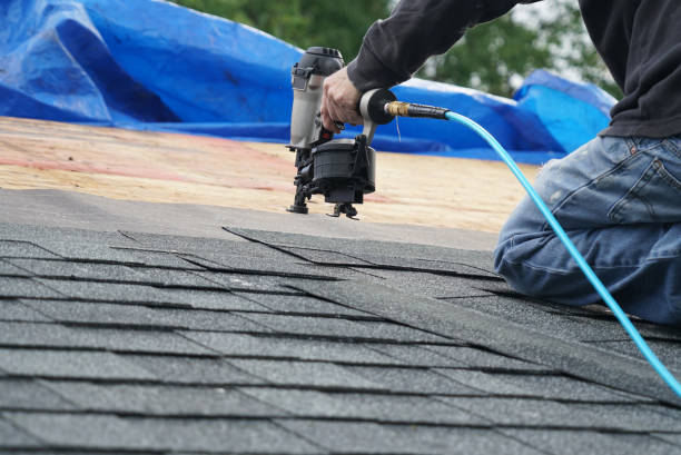 Best Metal Roofing Contractor  in Lincoln, AL
