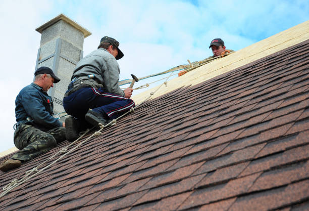 Best Gutter Installation and Roofing  in Lincoln, AL